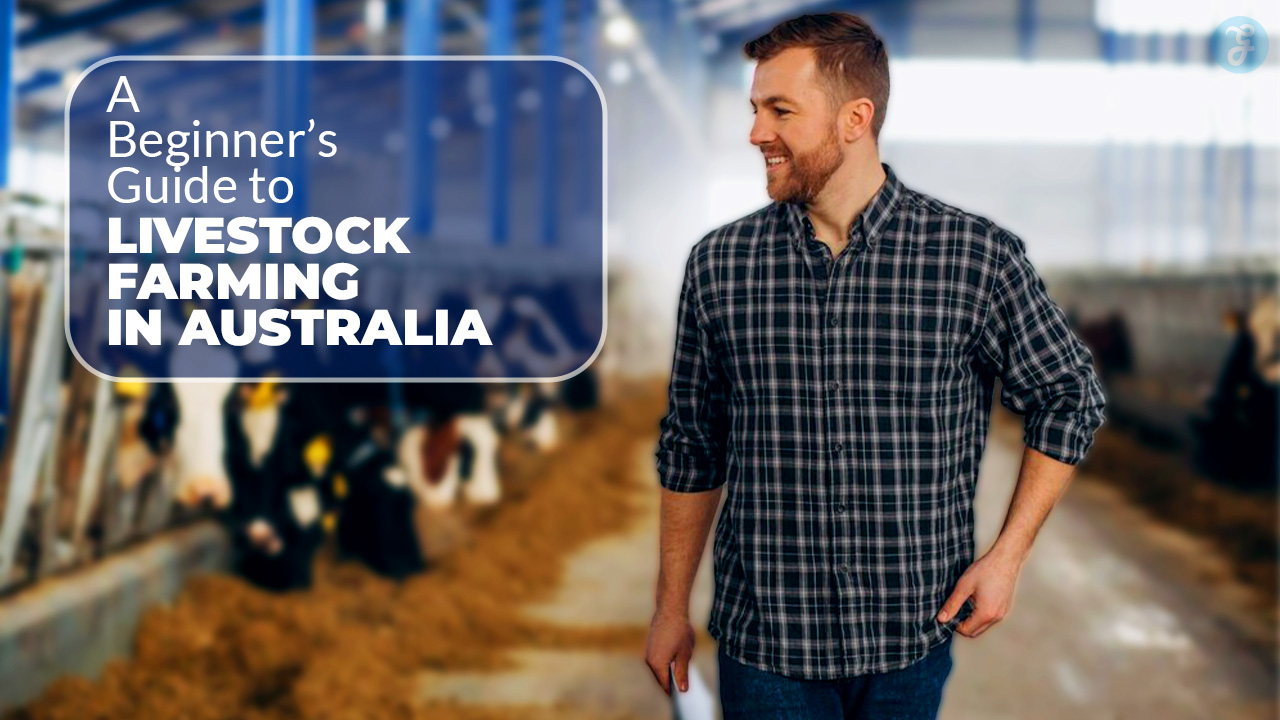 Guide to Livestock Farming in Australia