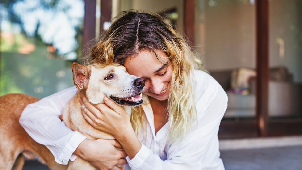 Best Pet Insurance