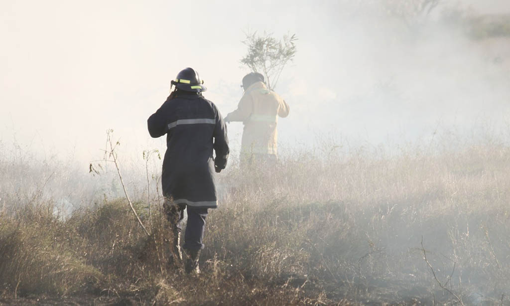 Economic Impacts of Bushfires on Agriculture