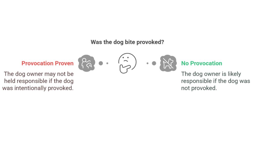 Provocation as a Legal Defense