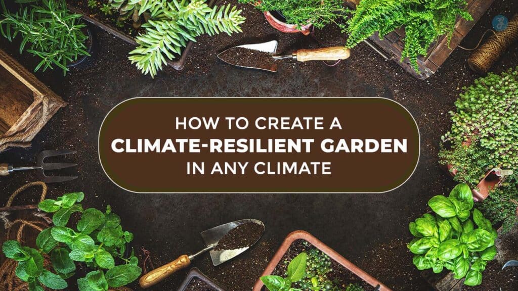 Climate-Resilient Garden