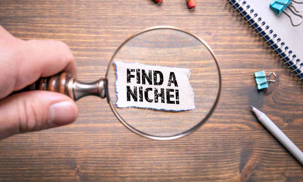 Identify Your Niche and Expertise