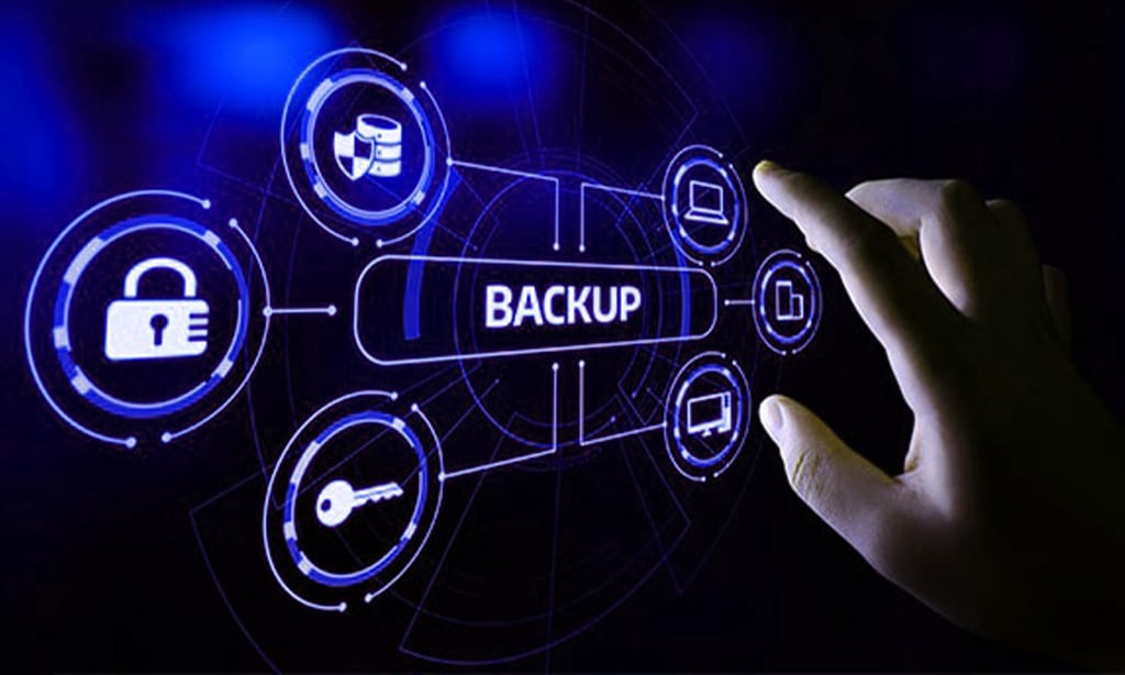 Investigate Backup and Recovery Options