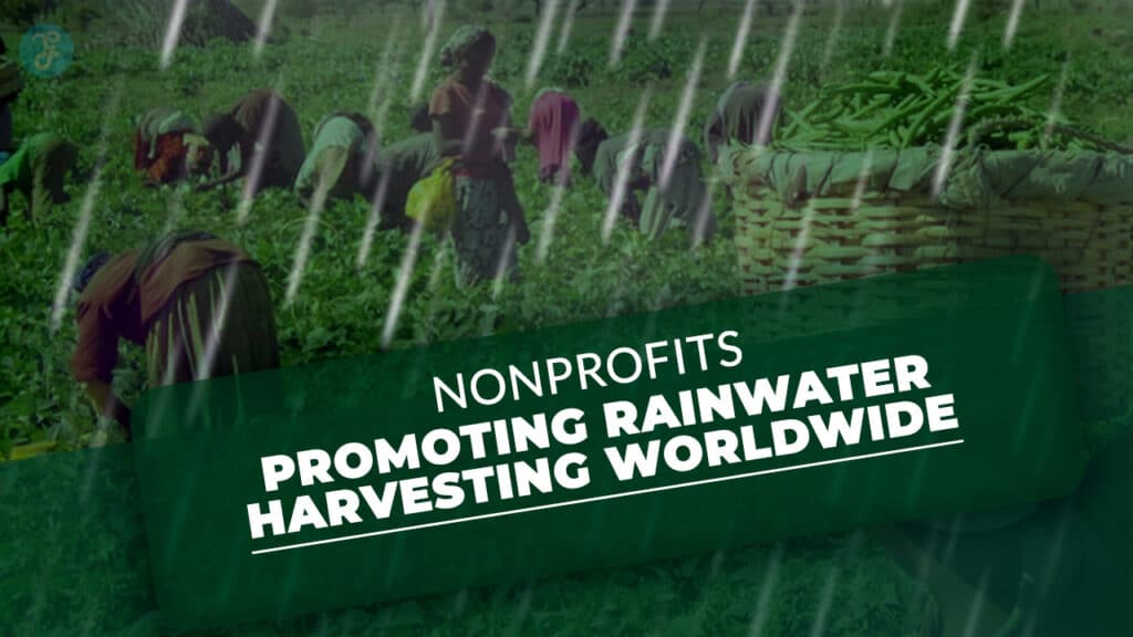 Nonprofits Promoting Rainwater Harvesting Worldwide