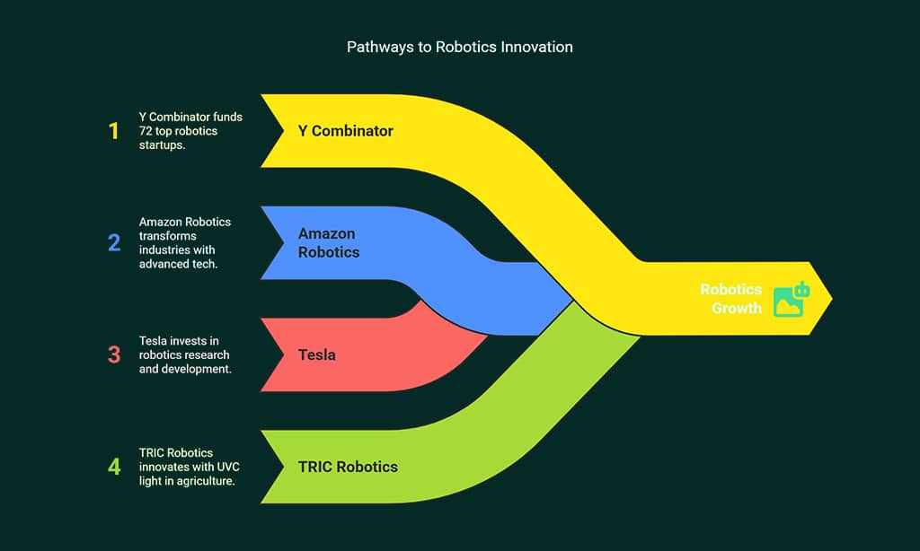 The Role of Collaboration and Investment in Robotics Growth