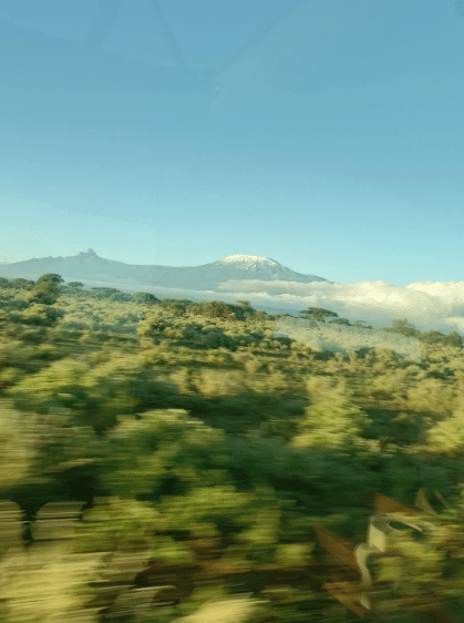 Where to witness the great migration