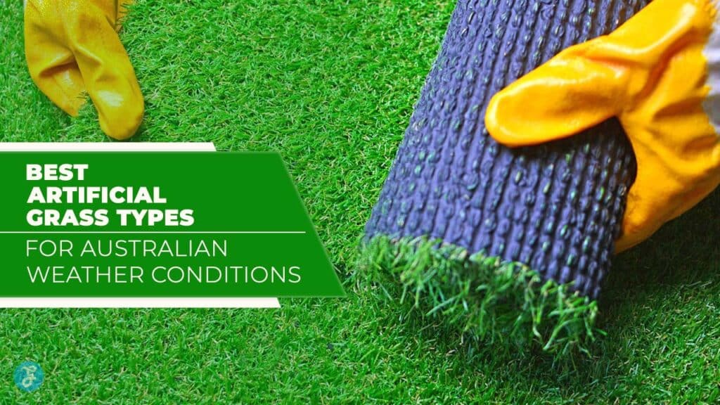 Artificial Grass Types for Australian Weather