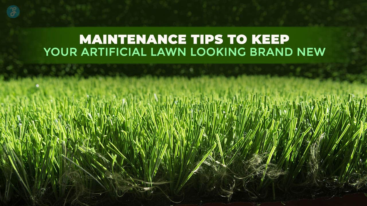 Artificial Lawn Maintenance