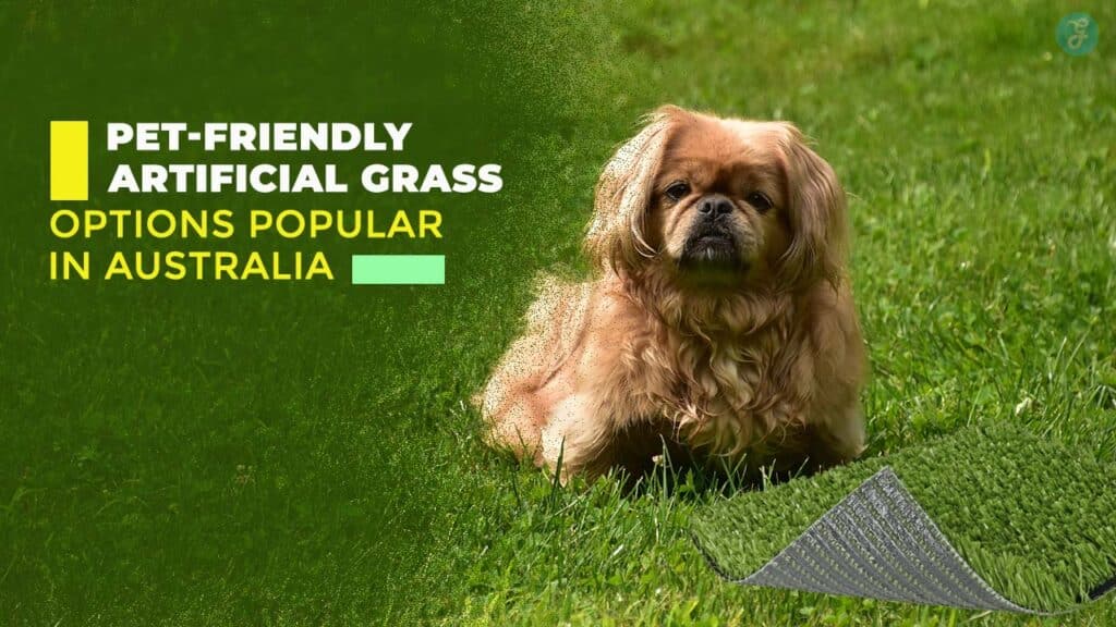 Pet-friendly artificial grass in Australia