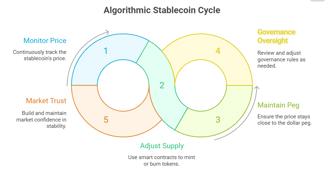 Algorithmic Stablecoins
