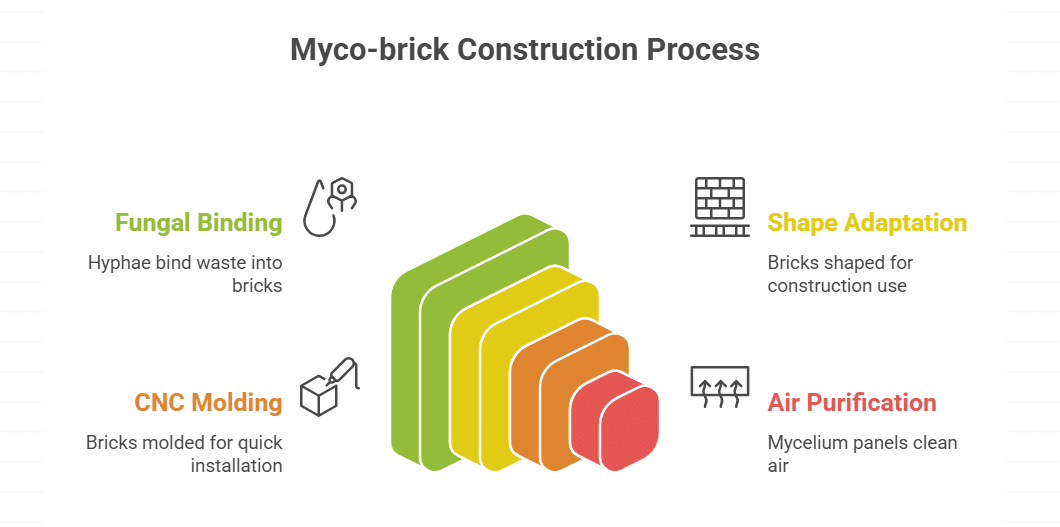 Applications in Construction Projects
