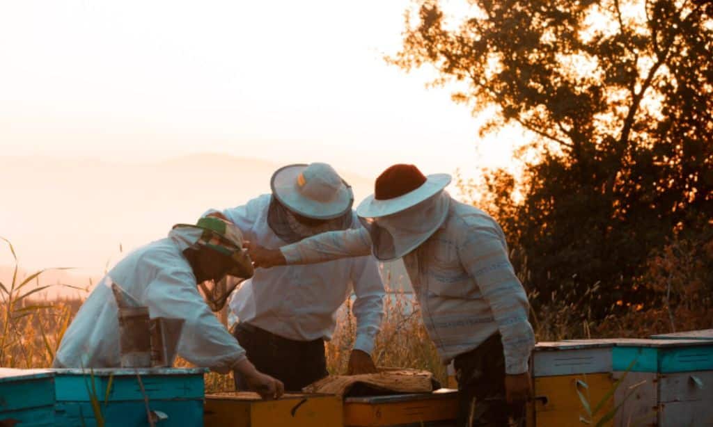 Bee Logistics Corporation