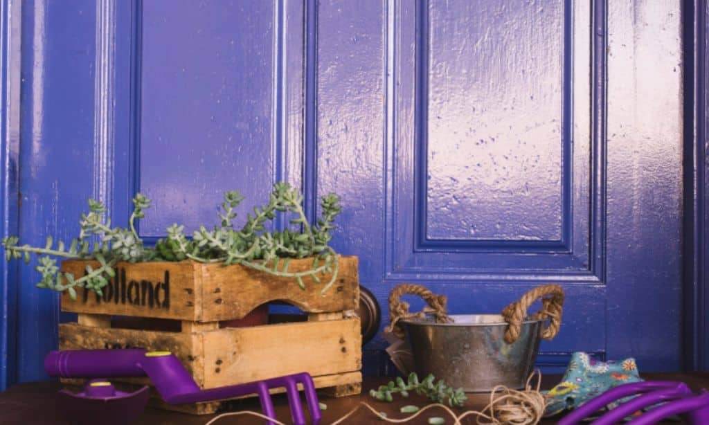 Bold Colors Inspired by the Italian Countryside