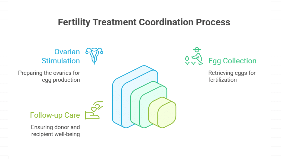 Comprehensive Medical Coordination