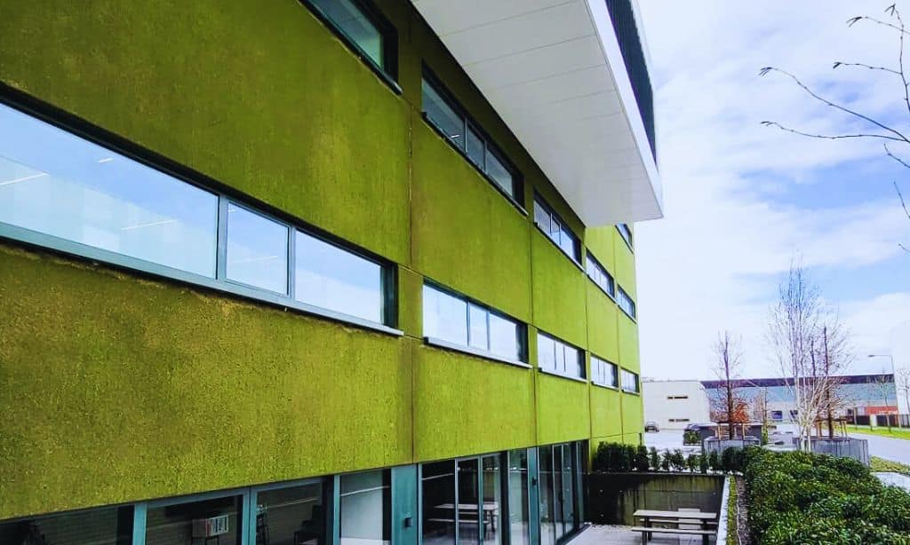 Mycelium-Infused Living Wall Systems