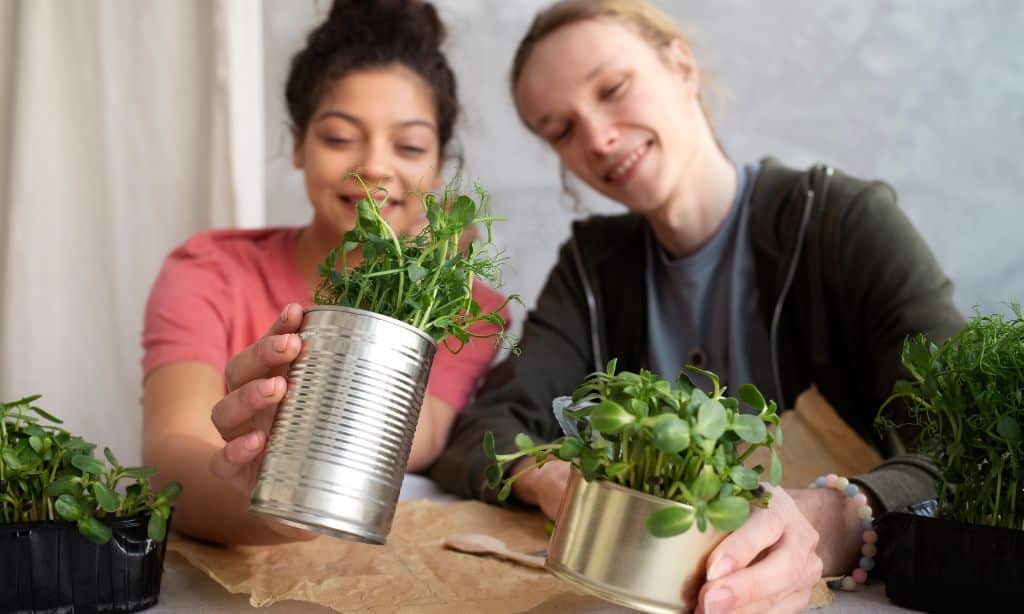 Use of Sustainable Materials