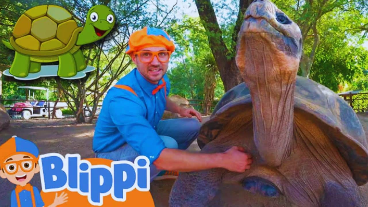 Where is Blippi From
