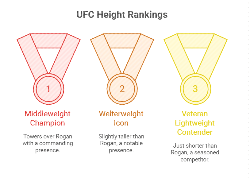 Height Comparisons with UFC Fighters