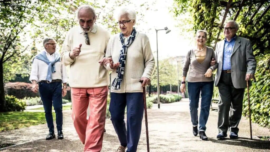 Mobility Aids for Elderly Independence