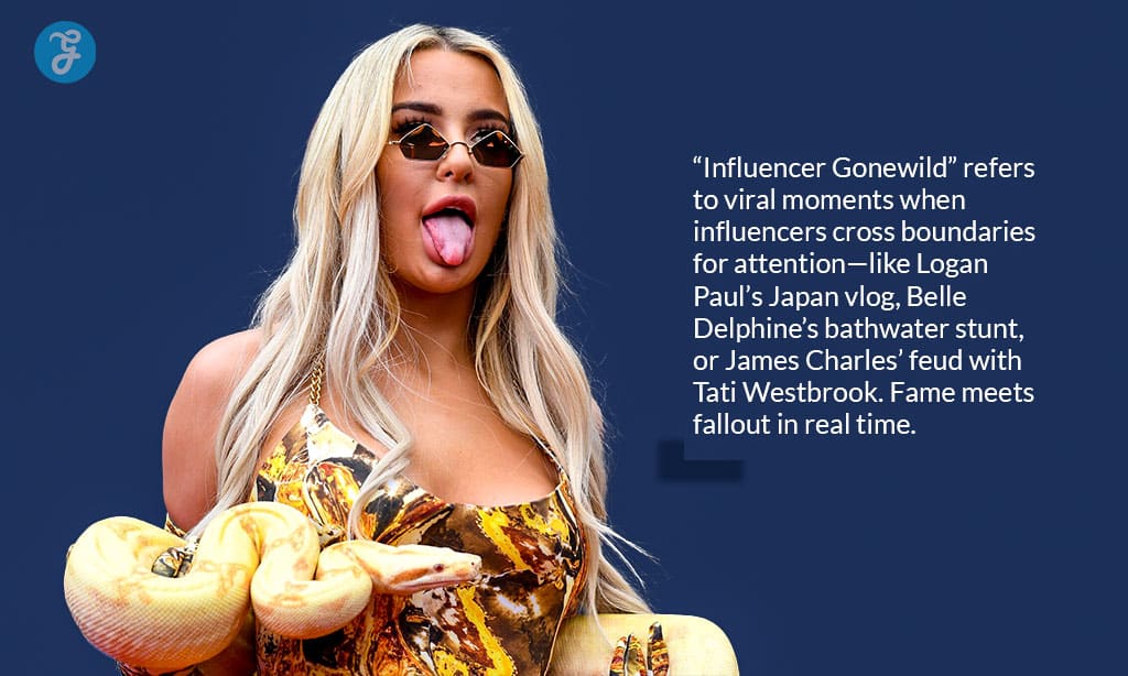 Impact on Influencer Culture