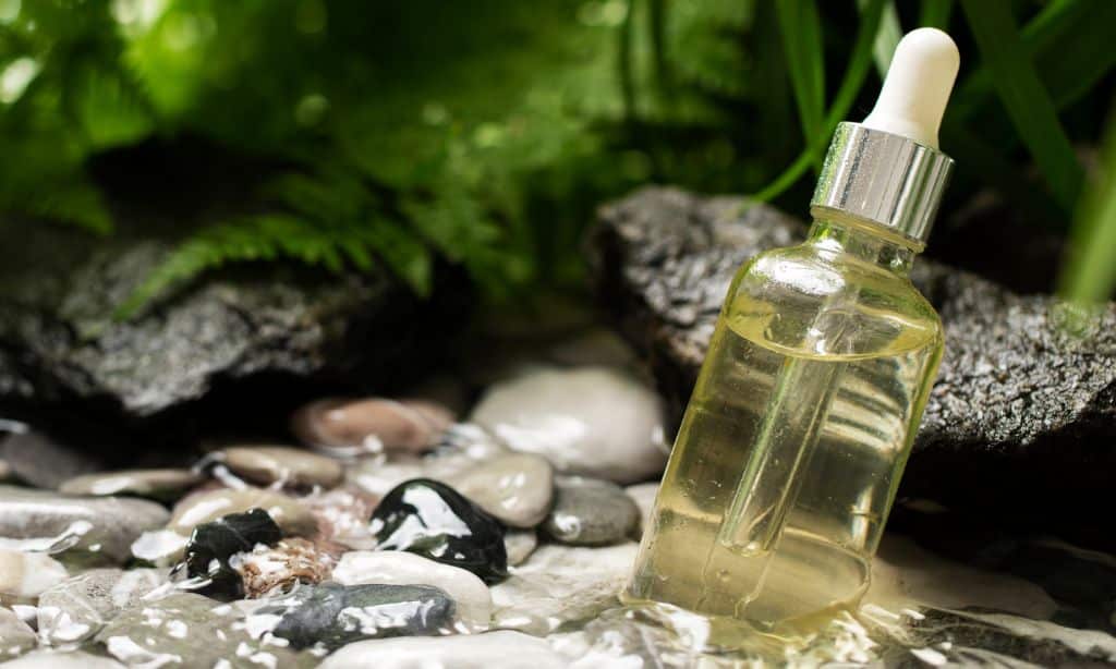 Sustainable and Natural Ingredients in 2025 Fragrance Oils