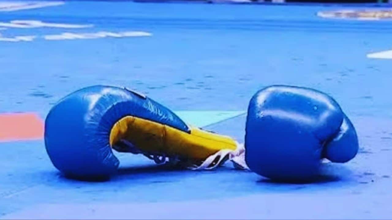 Japanese boxers brain injury deaths