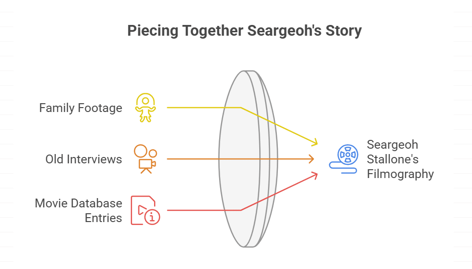 What Are Some Key Facts About Seargeoh Stallone's Career