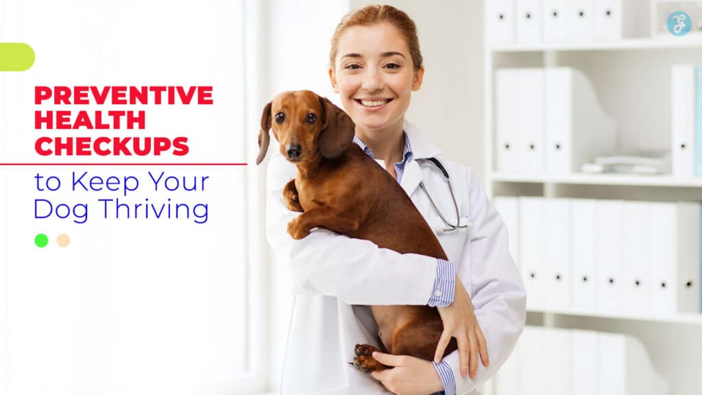 dog health checkups