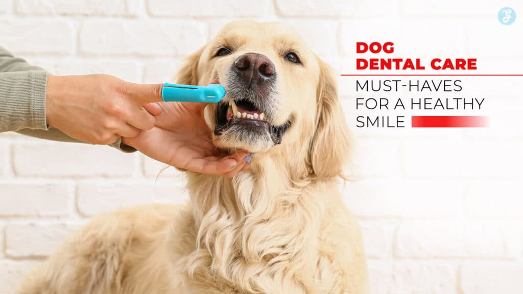 Dog Dental Care