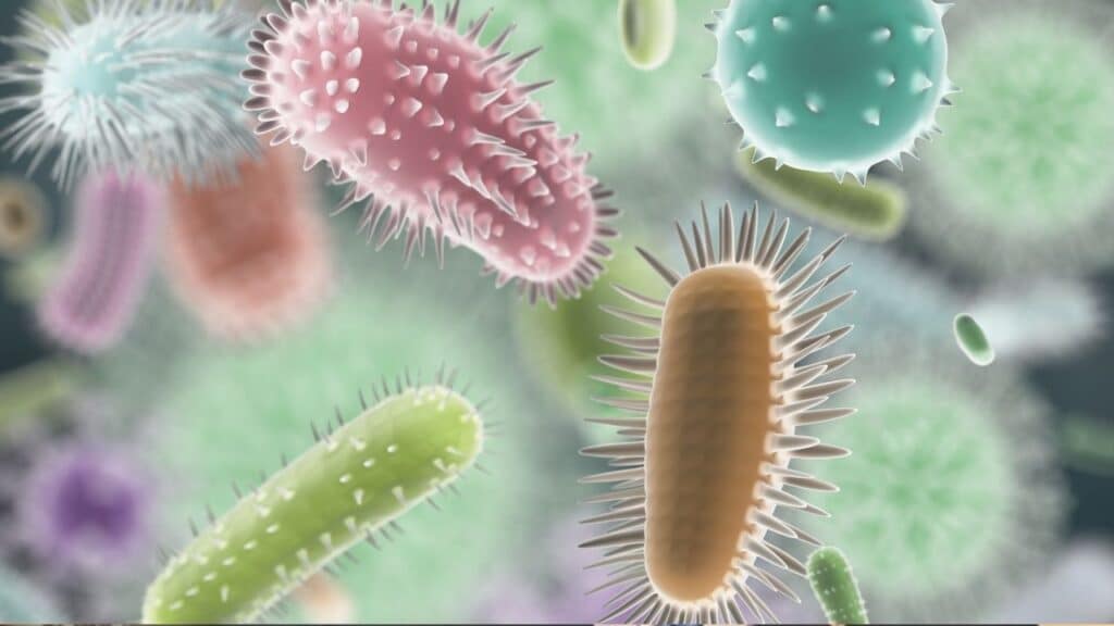 First AI-Designed Virus Developed by Stanford to Fight Bacteria