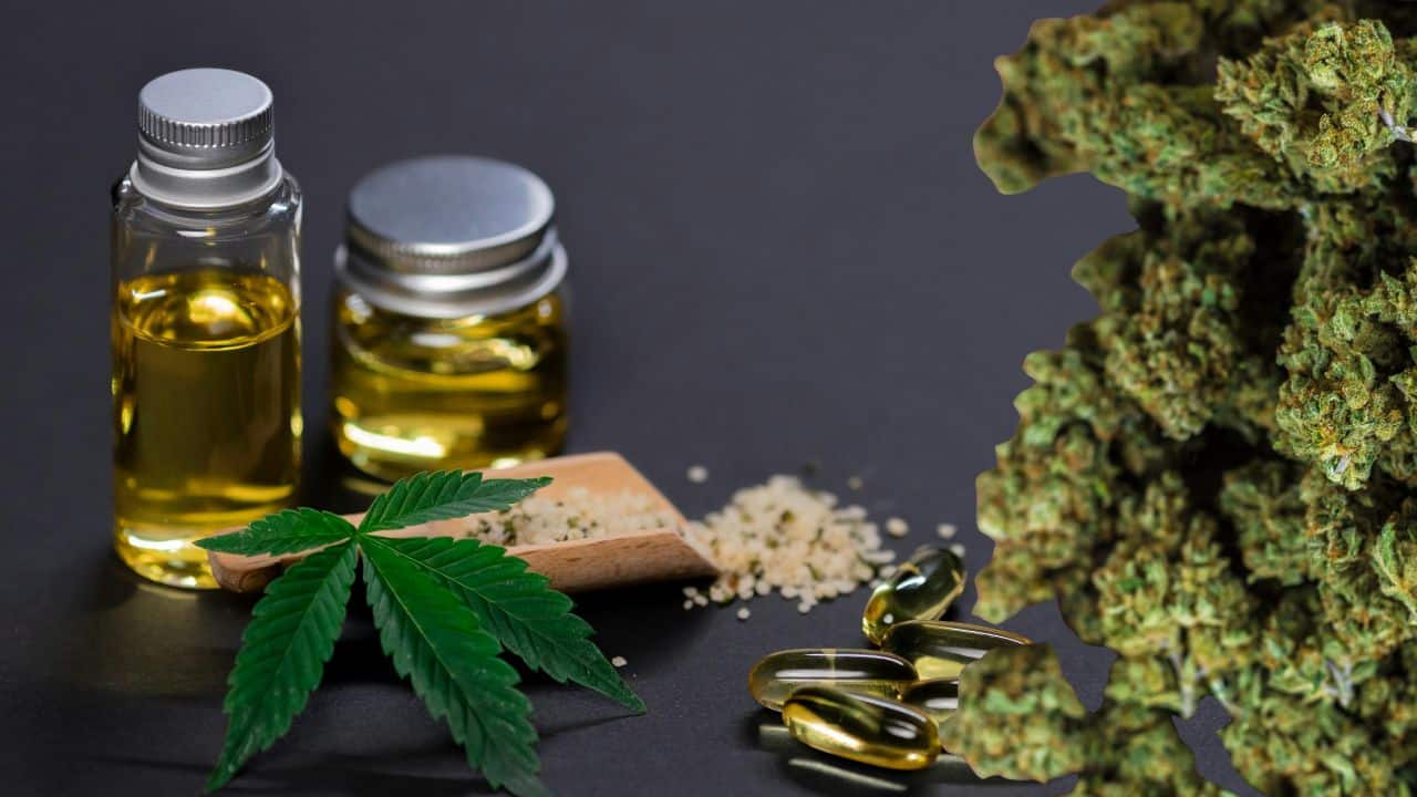 The Most Common Questions First-Time Cannabis Shoppers Ask