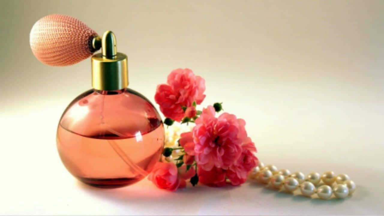 Top 10 Women’s Perfumes to Gift