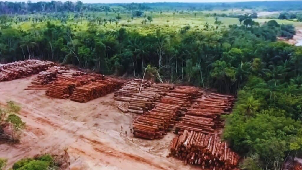 Brazil’s Amazon Deforestation Drops 11% — Lowest in 9 Years