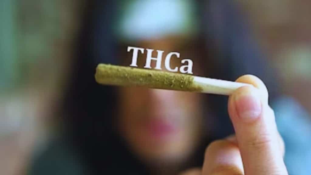 Do THCA Pre Rolls Get You High
