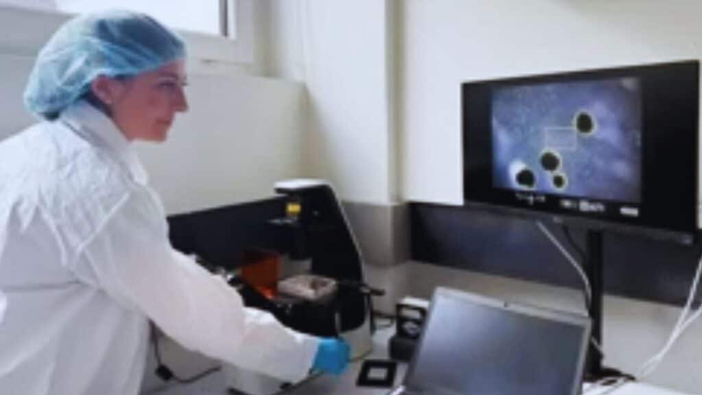 Scientists Grow Mini Human Brains to Power Computers in Labs