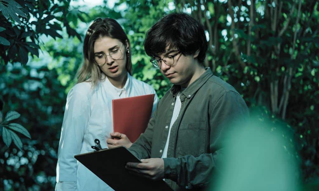 The Role of Research and Academia in Green Innovation