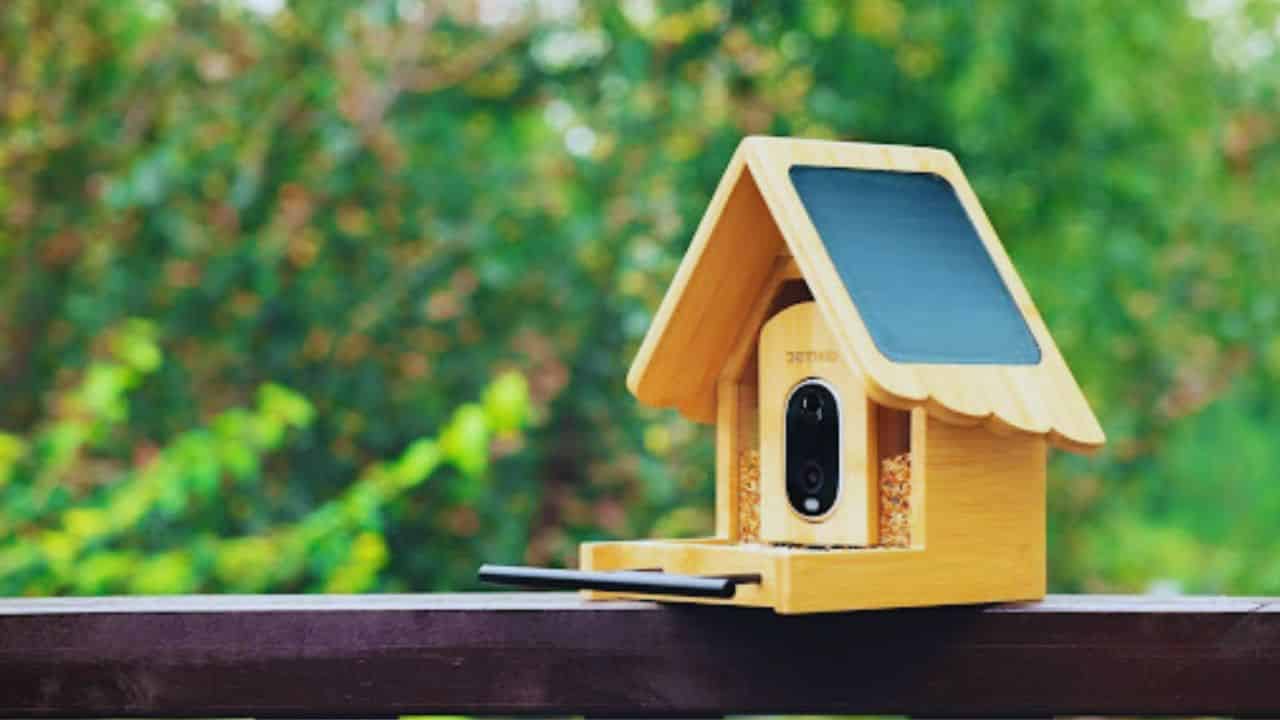 Best for Families Who Love Nature DETIKO Smart Bird Feeder