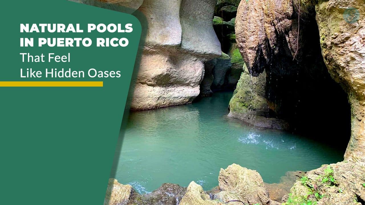 Natural Pools in Puerto Rico That Feel Like Hidden Oases