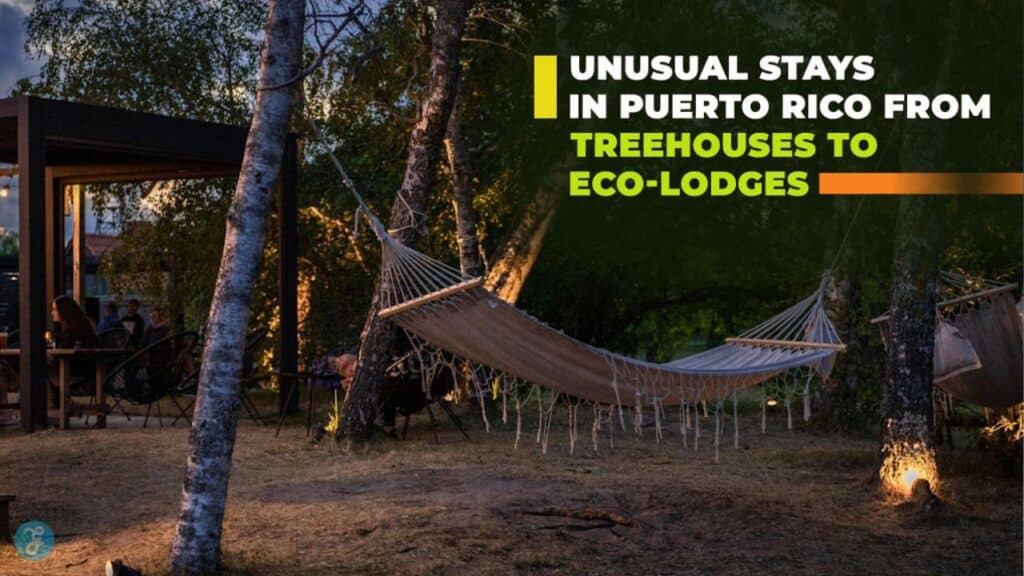 Unusual Stays in Puerto Rico From Treehouses to Eco-Lodges