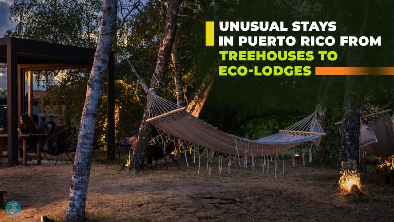 Unusual Stays in Puerto Rico From Treehouses to Eco-Lodges