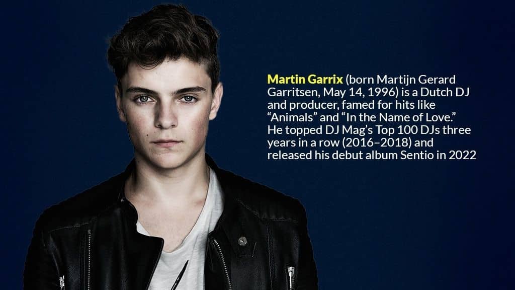 Martin Garrix net worth