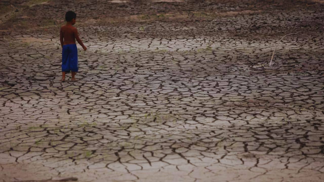 amazon rainforest 150 drought days 2100