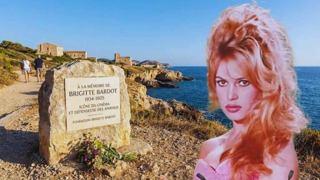 Brigitte Bardot Dies at 91 French Film Icon and Activist