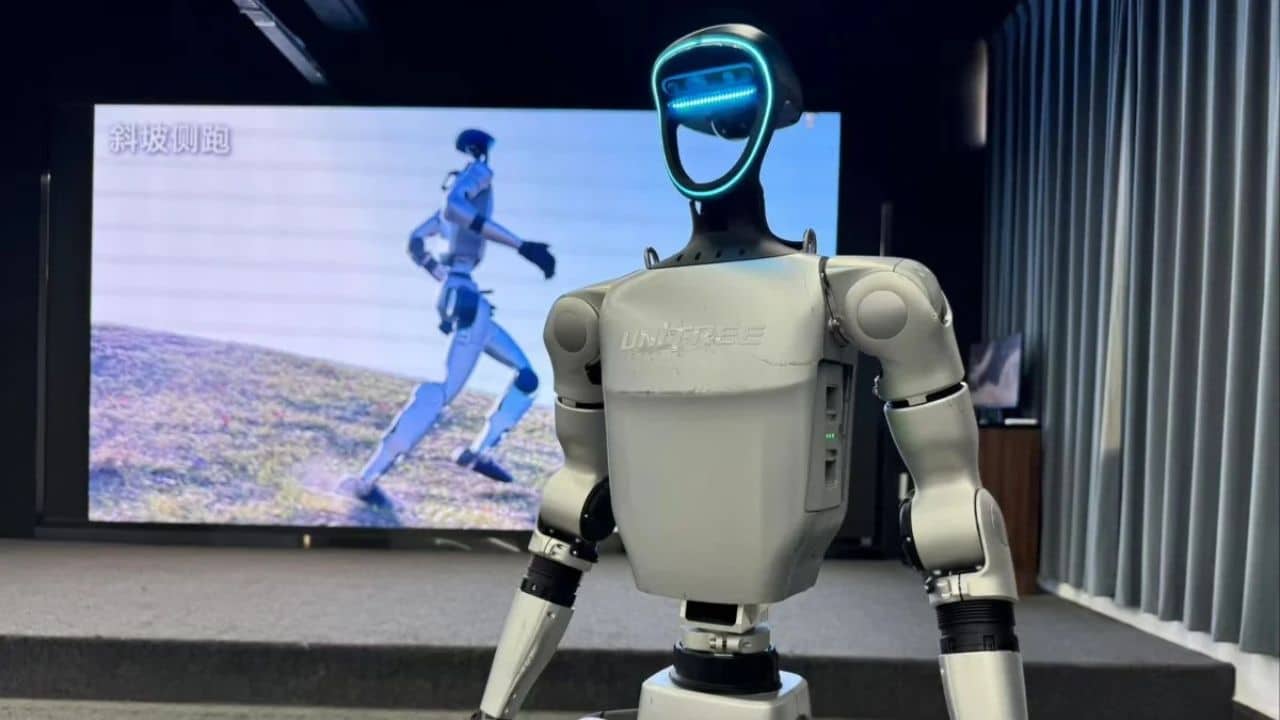 Chinese robots backflips at concert