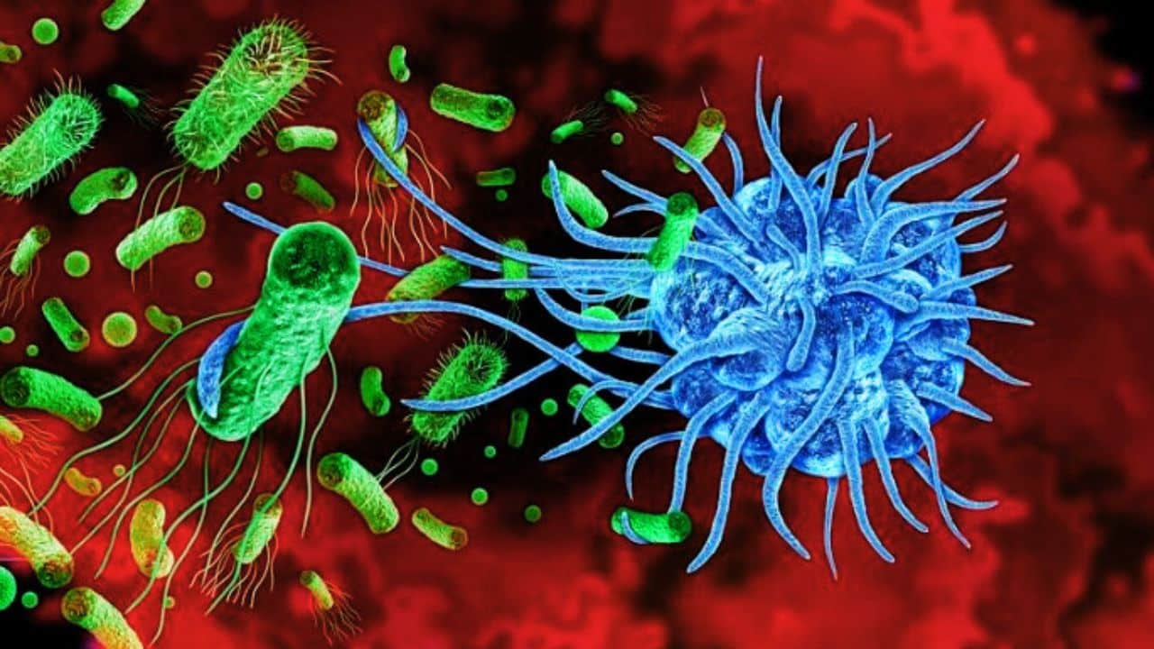 first human prime editing data