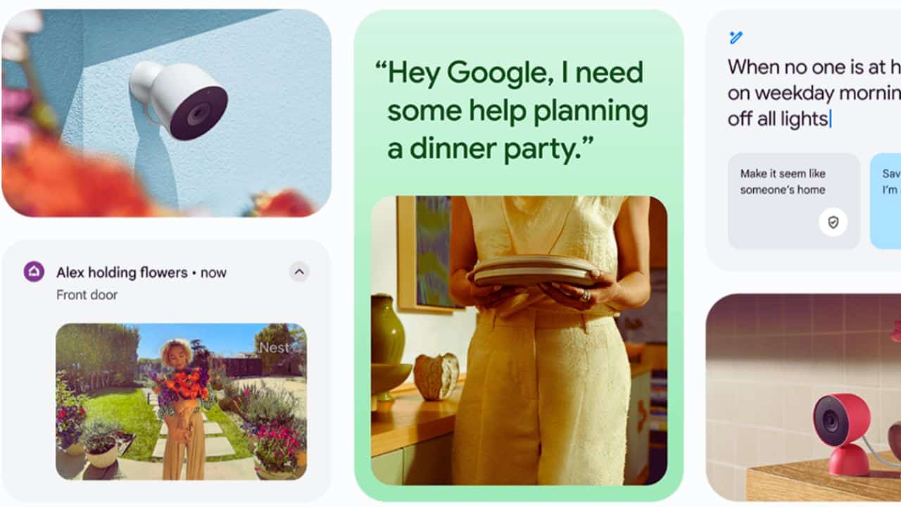 Gemini pet detection