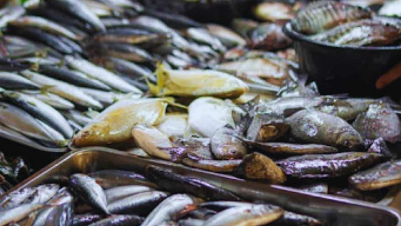 Healthy Indian Fish Varieties Every Parent Should Know