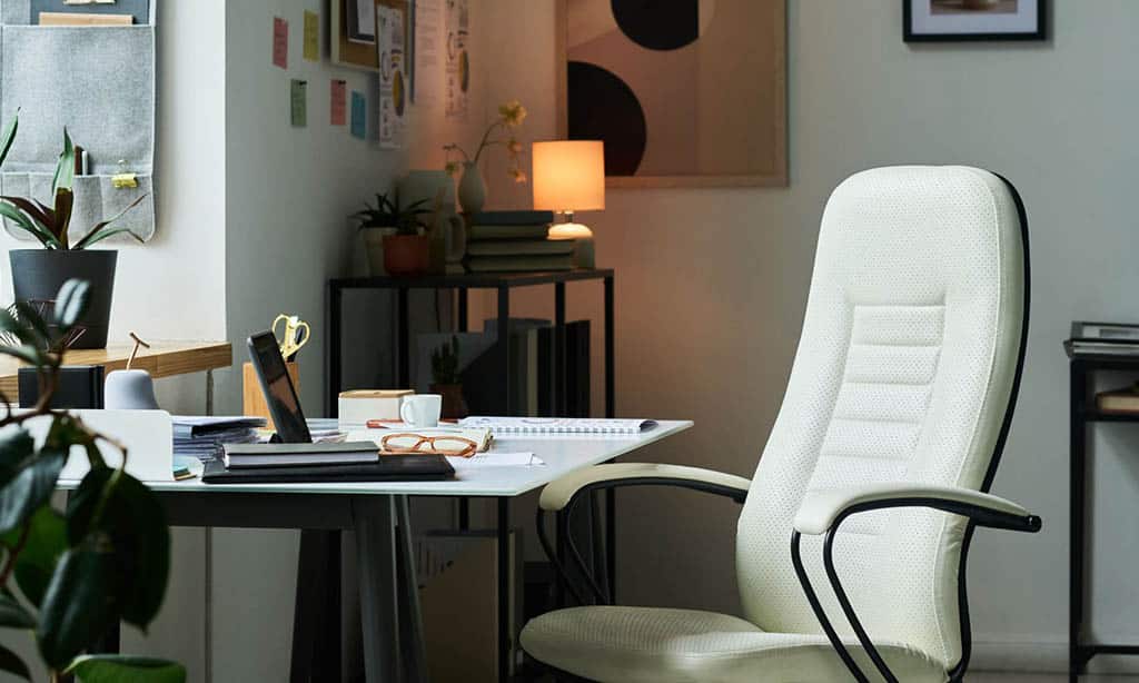 Ergonomic Home Office Setup