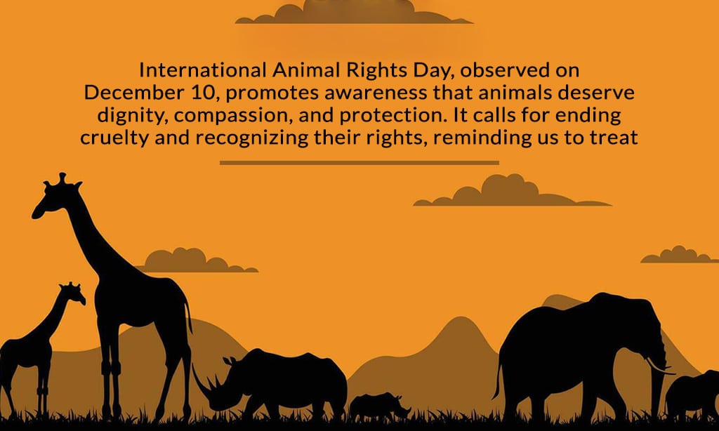 What is International Animal Rights Day