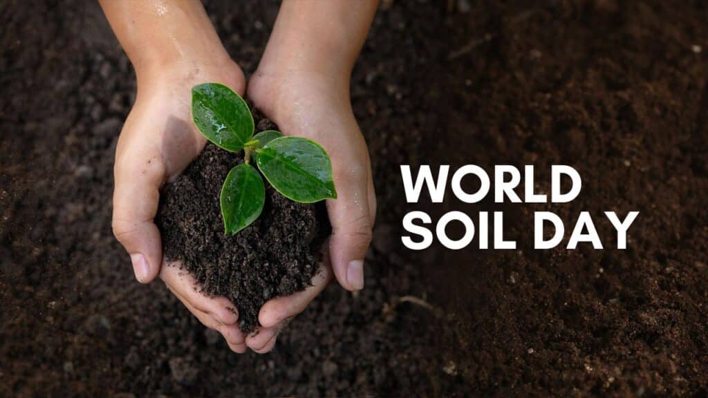 World Soil Day